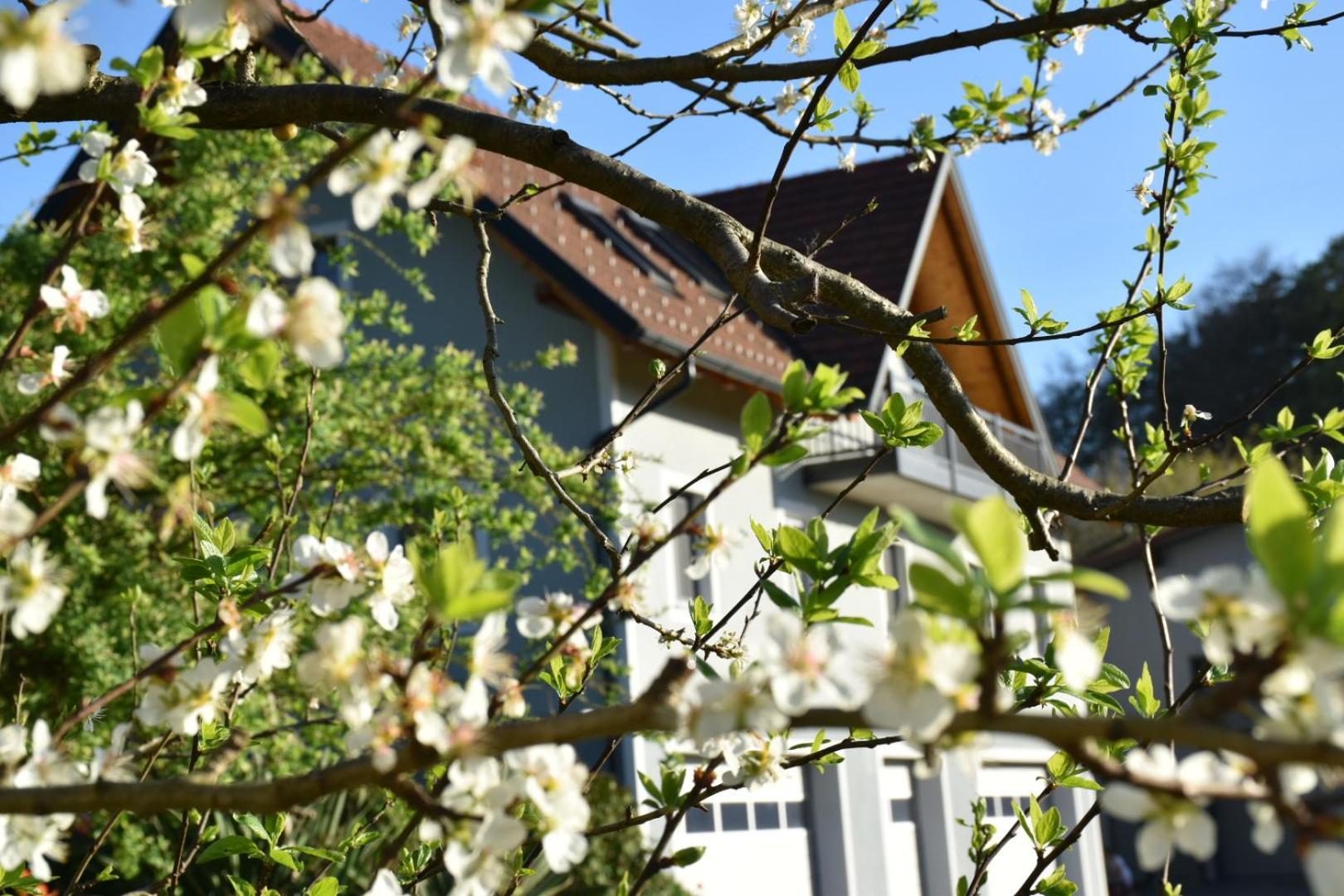 ריגרסבורג Ferienhaus Am Hof Zotter מראה חיצוני תמונה